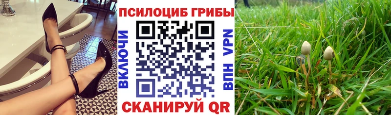 Псилоцибиновые грибы Psilocybine cubensis Зея